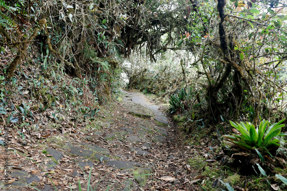 Fototapeta premium Paramo de Sumapaz Colombia landscape, nature
