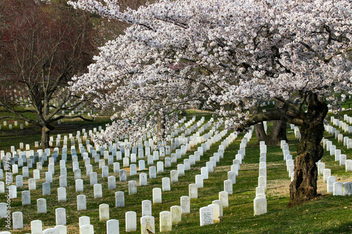 Arlington National Cemetery photo