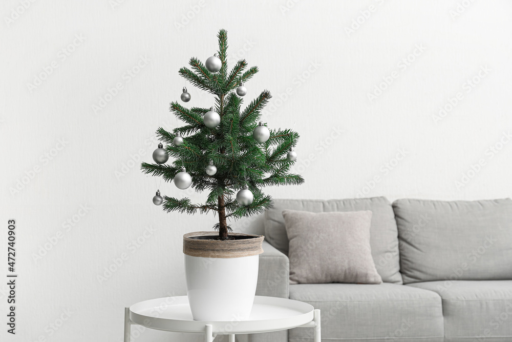 Fototapeta premium Beautiful decorated Christmas tree in pot on table indoors