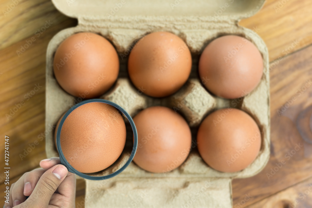The concept of egg benefits,egg is placed on a paper box and are magnified by a magnifying glass. The concept of egg benefits,egg is placed on a paper box and are magnified by a magnifying glass.