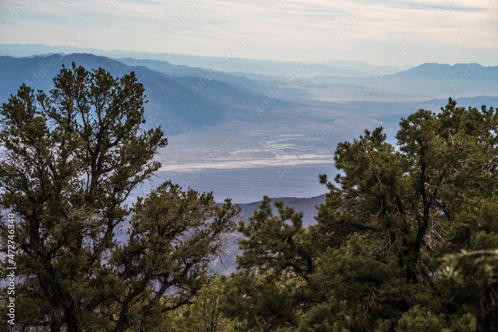 A view into Death Valley from a mountain high above the desert floor. Pinon pines grow along the Panamint mountains in the western part of Death Valley. 