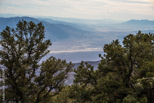 A view into Death Valley from a mountain high above the desert floor. Pinon pines grow along the Panamint mountains in the western part of Death Valley. 