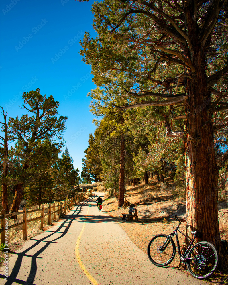 Obraz premium bicycle path in autumn park