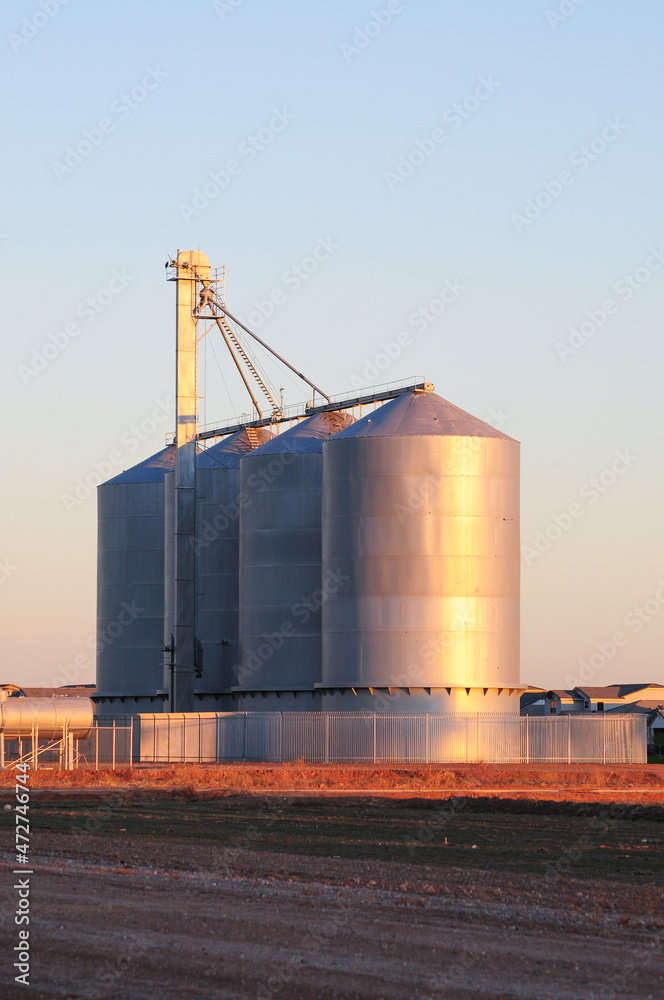 Vertical long distance of view of silver steel and chrome industrial grain silo Vertical long distance of view of silver steel and chrome industrial grain silo