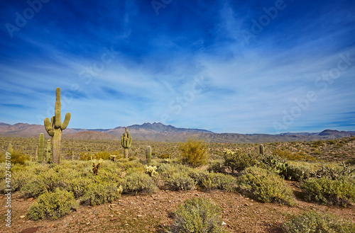 The four peaks for which the wilderness area in the Tonto National Forest is named. Saguaro, cholla, and scrubby vegetation fill the lowlands