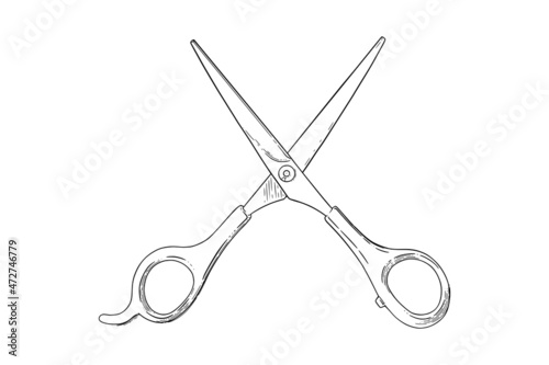 Scissors sketch. Hairdresser shears tool. Vector illustration isolated in white background