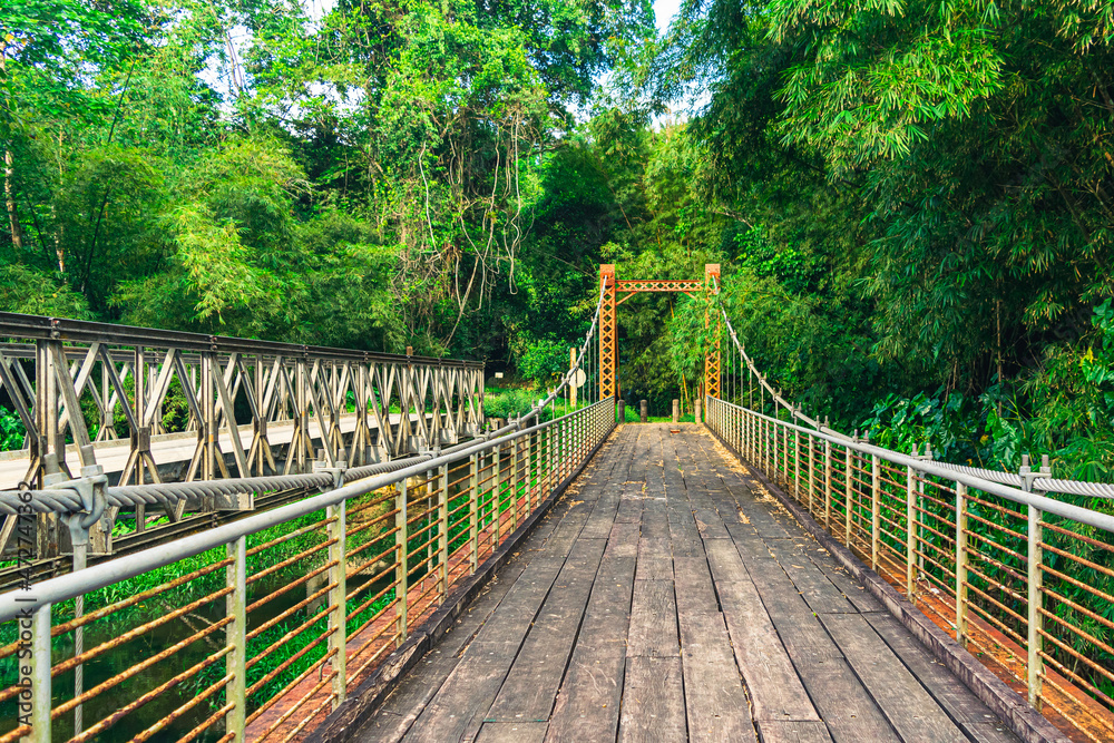 suspension bridge with wooden planks and steel cable bridge in tropical forest Blanchisseuse Trinidad