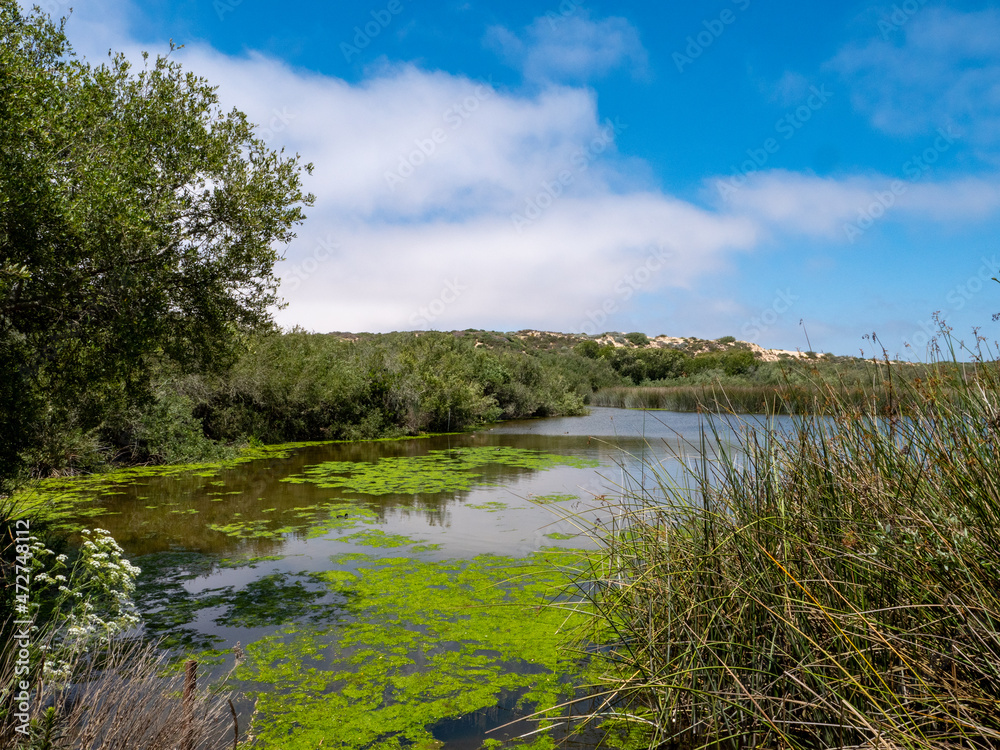 Fototapeta premium Lake view