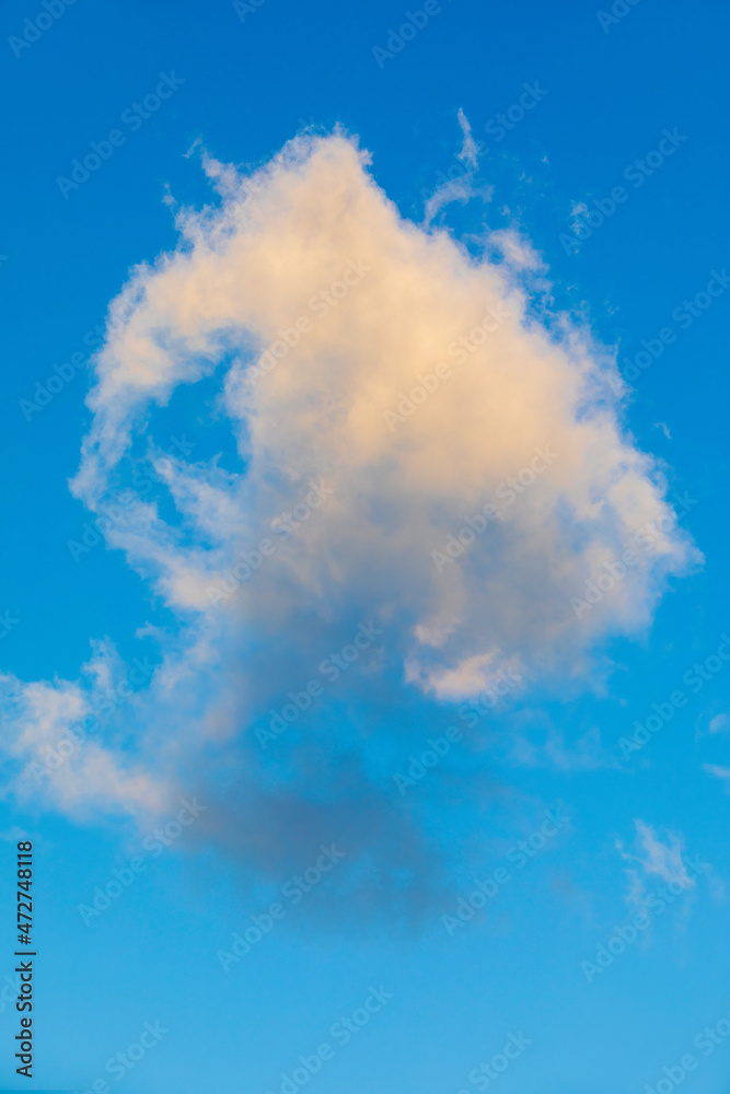 強い風に流される朝の綿雲