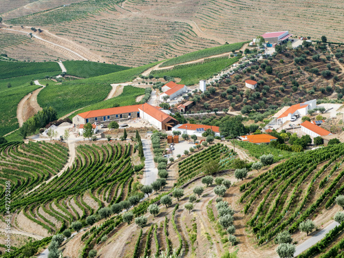 Portugal, Douro Valley. The hillside town of Castelo Mellor