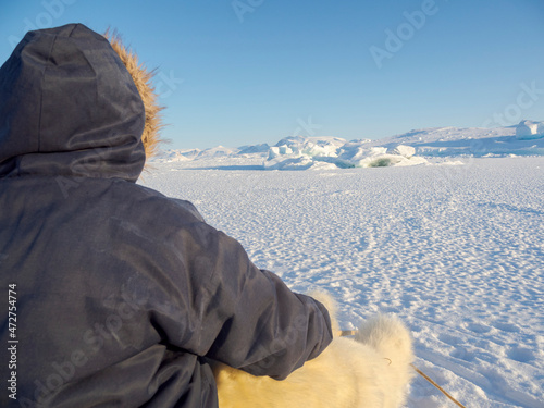 Inuit hunter on dog sled, wearing traditional trousers and boots made from polar bear fur on the sea ice of the Melville Bay near Kullorsuaq in North Greenland. North America, danish territory photo