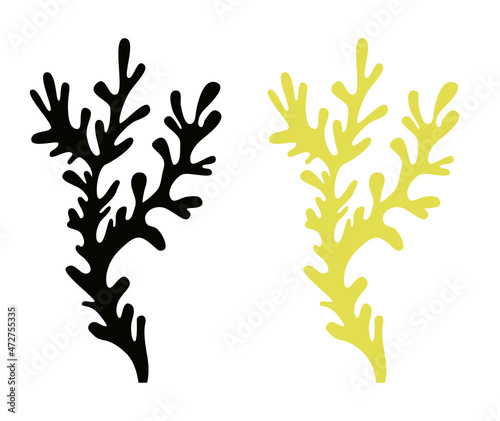 Beautiful coral twig in silhouette black and light green for logo and design