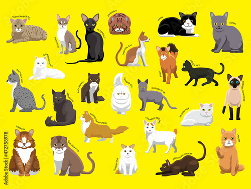 Various Cat Breeds With Name Cartoon Character Set 1