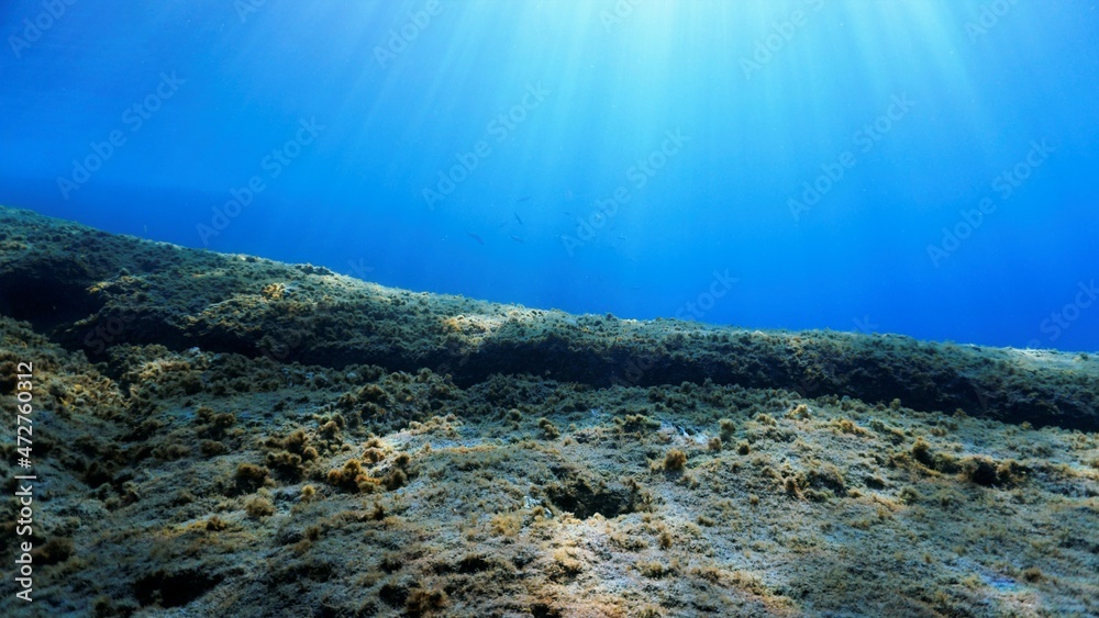 Underwater landscape and scenery in rays of light