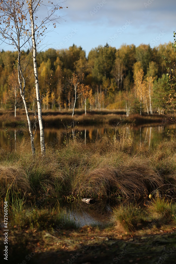 Impressive Autumn landscape during sunset. Fall colours Impressive Autumn landscape during sunset. Fall colours