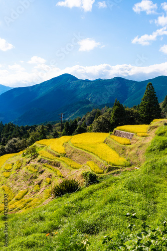 Maruyama, Rice Terraces in Mie prefecture, Japan. photo