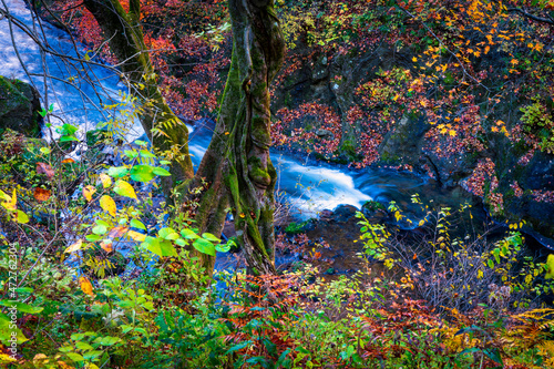 The Oya River runing at the buttom of the gorge.  photo