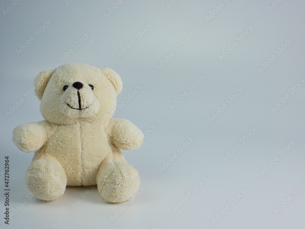 white teddy bear isolated on a white background. copy space ready to add text