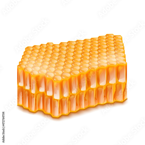 honey honeycomb. orange healthy comb. tasty organic food. gold natural honey. 3d realistic vector