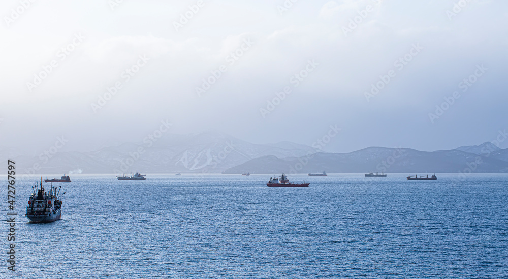 Fishing seiners in Avacha Bay in Kamchatka peninsula