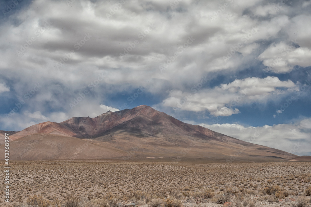 Bolivia, Atacama Desert. The desert stretches as far as the eye can see.