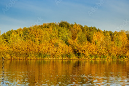 Wallpaper Mural Forest near the river bank in the autumn. The yellow and orange foliage is brightly lit by sun. Trees are reflected in the river. In the background, a white and blue sky Torontodigital.ca