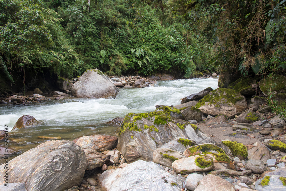 Ecuador. Cloud forest Cayambe Coca National Reserve Papallacta River Ecuador. Cloud forest Cayambe Coca National Reserve Papallacta River