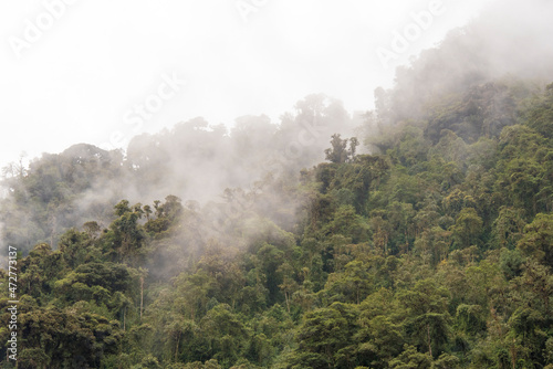 Ecuador. Cloud forest. Papallacta