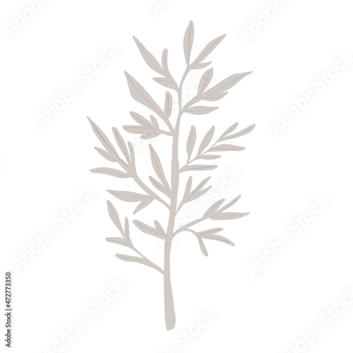 Christmas Branch Isolated Hand Drawn Illustration 