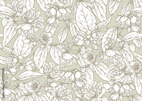 Jasmine Seamless pattern, background. Outline vector illustration. In botanical style.
