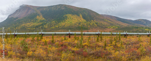 USA, Alaska. Fall colors in the tundra on the Dalton Highway to Prudhoe Bay on the North Slope. photo