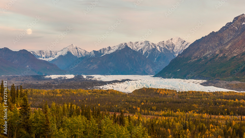 USA, Alaska. Fall colors in the Matanuska River Valley with the Matanuska Glacier in the background.