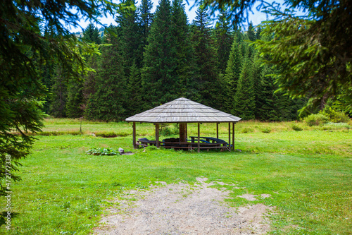 Green resting place , picnic area with covered wooden pavilion at park , surrounded pine forest, summer day,