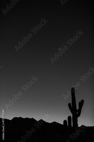 USA, Arizona, Buckeye. Comet Neowise spews trail over White Tank Mountains and desert. © Danita Delimont