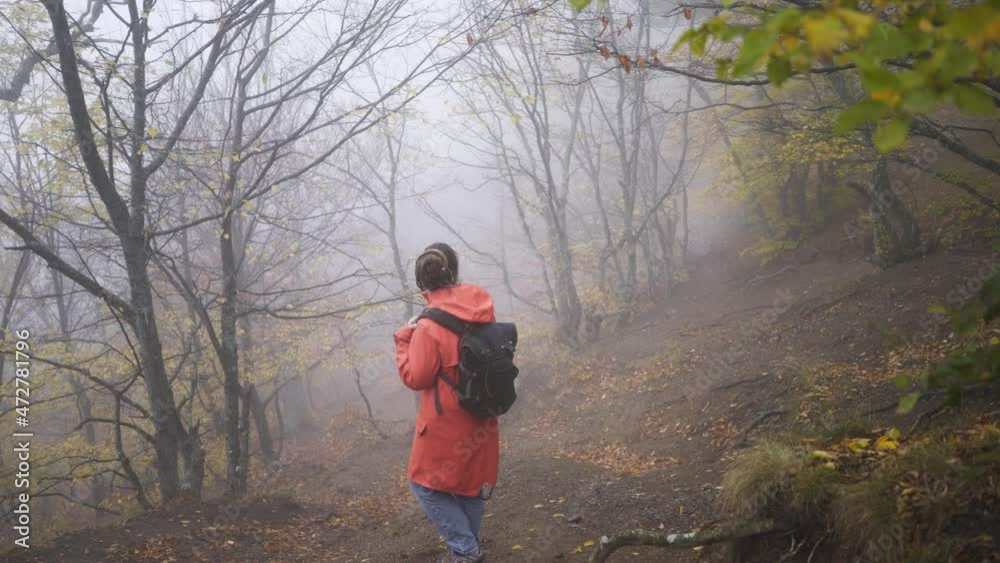 Young woman in red raincoat with backpack hiking on mountain, enjoying yellow leaves in picturesque foggy forest with high trees on cold autumn day Young woman in red raincoat with backpack hiking on mountain, enjoying yellow leaves in picturesque foggy forest with high trees on cold autumn day