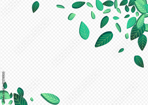 Olive Foliage Transparent Vector Transparent