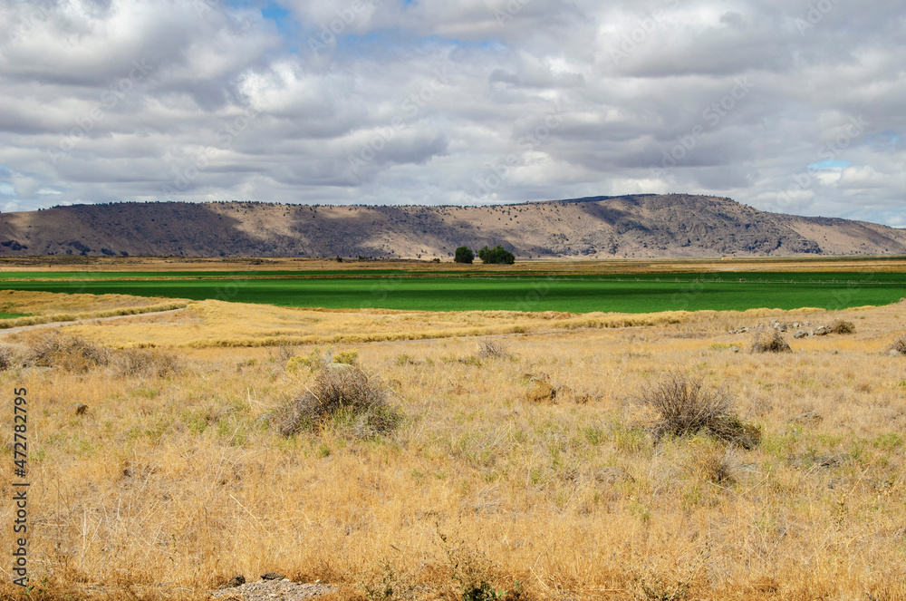 USA, California. Tulelake, farm fields framed by Gillem Bluff