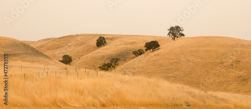 USA, California, Paso Robles. Panoramic of grassy hillsides and trees. photo