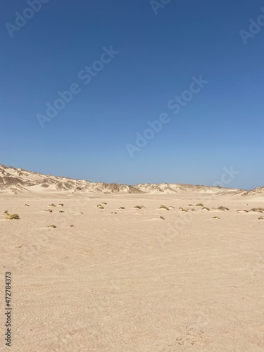 Panorama of poor desert vegetation in a sandy valley against the blue sky. 