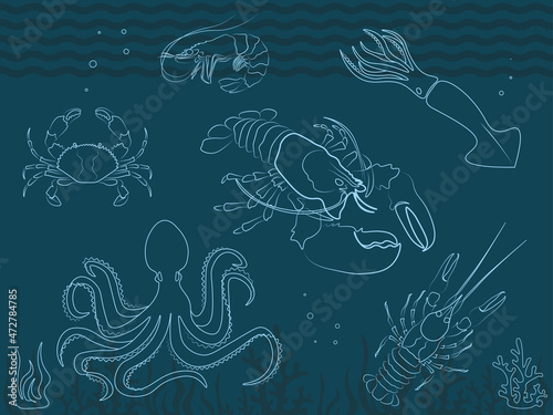 Set of vector images, icons, molluscs. Flyer with graphic silhouettes, seaweed, wave, water. Octopus, lobster, crab, shrimp, squid, cancer. Advertising banner.