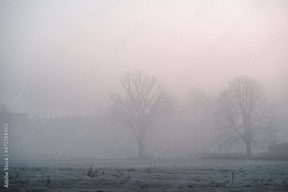 Foggy and cold autumn morning in the city, selective focus Foggy and cold autumn morning in the city, selective focus