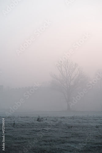 Foggy and cold autumn morning in the city, selective focus