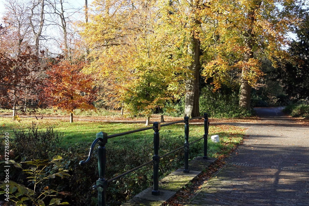 Netherlands. Autumn landscape in public park of Zuid-Holland