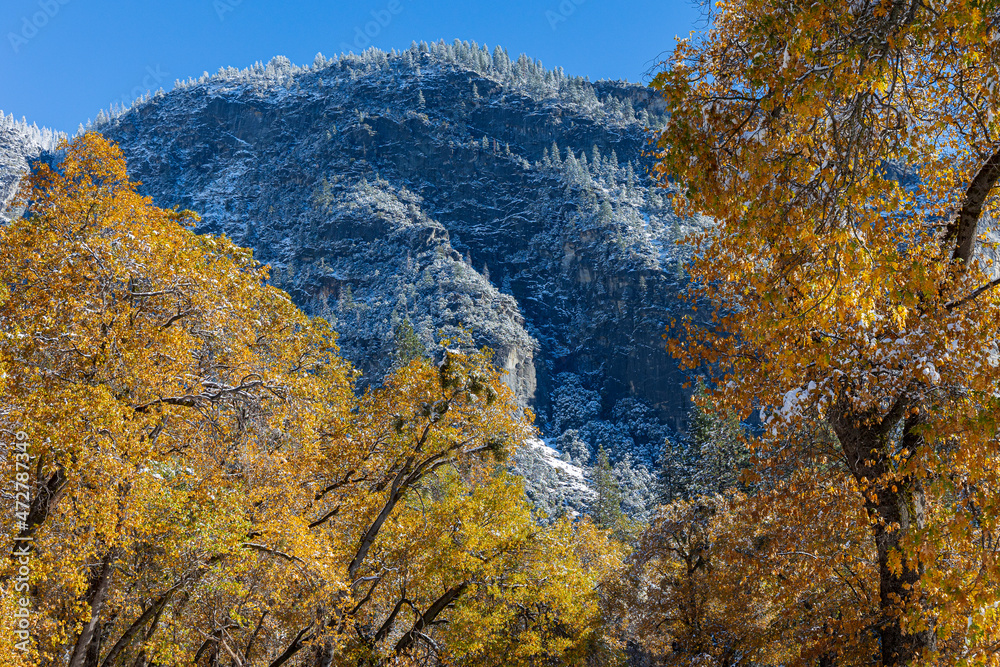 Cook's Meadow. Autumn first snow in Yosemite National Park, California, USA. Cook's Meadow. Autumn first snow in Yosemite National Park, California, USA.