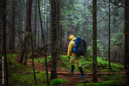 A male tourist in a yellow raincoat walks through the untouched mountain forest on a mountain climb, carrying a large tourist backpack on his back.