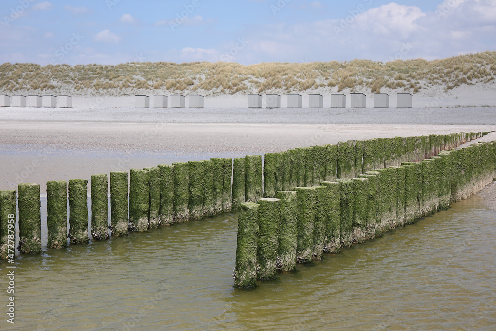 Wooden breakwaters and little beach houses at the Dutch coast
