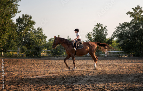 horse and rider on a horse. the child is riding a horse. Children's equestrian sport. Horse riding for children. Horse and rider on a horse