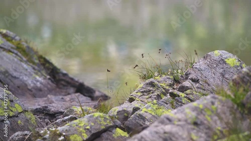 Nature, mountains, reservoirs - everything that you come across on the way to the Sofia Lakes photo