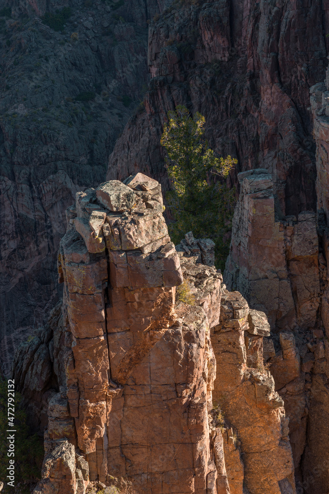 Fototapeta premium USA, Colorado. Black Canyon of the Gunnison National Park, early morning light on steep, metamorphic cliff face at Rock Point.