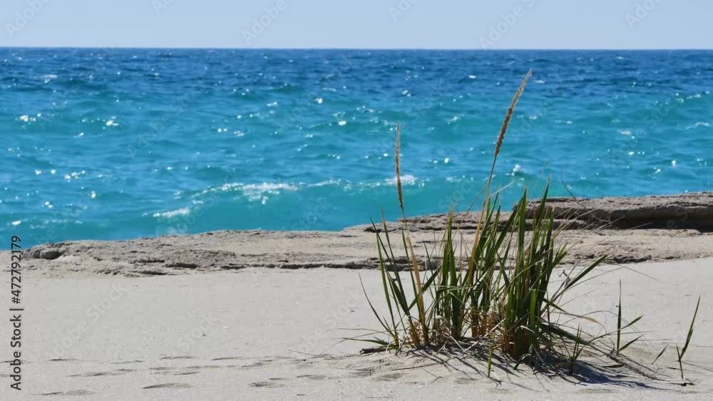 The Caspian Sea is the largest enclosed body of water on Earth The Caspian Sea is the largest enclosed body of water on Earth
